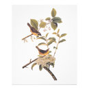 Recherche de oiseaux f art Pour tous