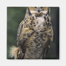 Recherche de griffes magnets Faune
