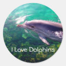 Suche nach delphin liebe aufkleber Meer