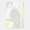 Suche nach owl alle post it Natur