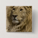 Suche nach panthera buttons Löwe
