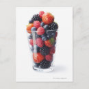 Recherche de myrtille cartes postales Framboise