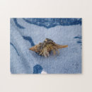 Recherche de ocean puzzles Poisson