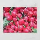 Recherche de radiateur cartes postales Rouge