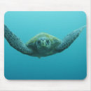 Recherche de tortue verte tapis souris Reptile