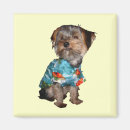 Suche nach yorkies magnete Magneten