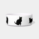 Recherche de chat noir de minou Pour animaux