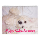 Recherche de bichon bureau fournitures Chien