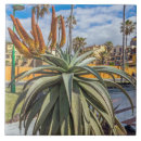 Suche nach pflanzen fliesen Orange