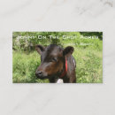 Recherche de moo vache cartes visite Animal