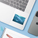 Recherche de illustration de baleine autocollants Mer