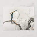 Recherche de koson cartes postales Oiseau