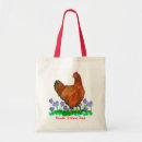 Recherche de rouge de rhode island Poule