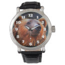Recherche de faune montres Ours brun