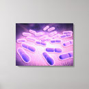 Recherche de pathologie art Physiologie