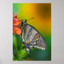 Suche nach oster poster Gelb