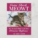 Recherche de chat pourpre posters Chats