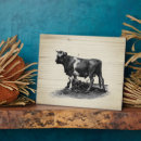 Recherche de vaches plaques Ferme