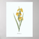 Suche nach vintage botanical poster Floral