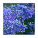 Suche nach romantische blumen fliesen Blumenreich