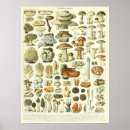 Recherche de d adolphe posters Vintage