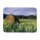 Recherche de rural magnets Personne