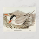 Recherche de puissante cartes postales Nature