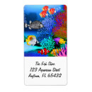 Suche nach aquariumfische Korallenriff