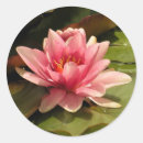 Recherche de de nénuphar autocollants Botanique