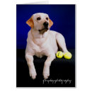 Recherche de blond photographie Dog