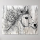 Recherche de étalon noir posters J'adore les chevaux