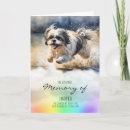 Suche nach shih tzu hunde postkarten Dogs