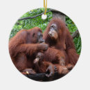 Recherche de orang outan ornements Orangs outans