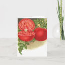 Recherche de tomates vœux cartes Rétro