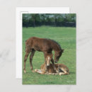 Suche nach morgan postkarten Spielen