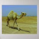 Recherche de chameau de d art Animaux