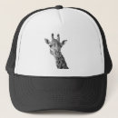 Recherche de girafe photographie L'afrique