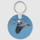Suche nach wilder vogel schlüsselanhänger Fliegen