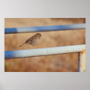 Recherche de aves posters Faune