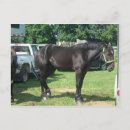 Recherche de de cheval cartes postales Agriculture