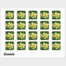 Suche nach daffodil aufkleber Frühjahr