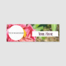 Recherche de macro de fleur bureau fournitures Plante