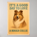 Suche nach raues collies poster Raue collie
