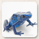 Suche nach amphibie untersetzer Kaltblütig