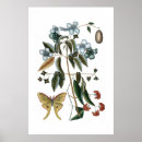 Suche nach blauer schmetterling poster Couple