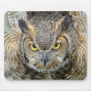 Recherche de hibou cornes tapis souris Hiboux