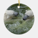 Suche nach eisbären ornamente Ursus maritimus