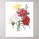 Suche nach qualität poster Blume