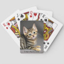 Recherche de chaton jeux de cartes Mignon