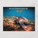 Suche nach galapagos schildkröte poster Tier
